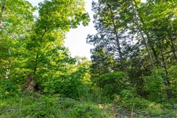 Cedar Creek Tract 58