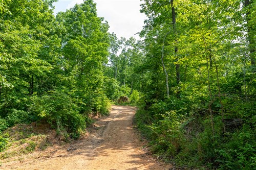 Cedar Creek Tract 59