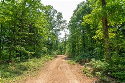 Cedar Creek Tract 59