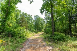 property photo for Cedar Creek Tract 6, 5.92 acres for sale in Perry County, Tennessee