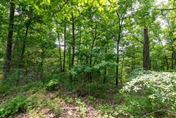 property photo for Cedar Creek Tract 6, 5.92 acres for sale in Perry County, Tennessee