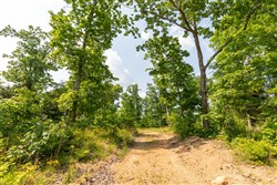 Cedar Creek Tract 60
