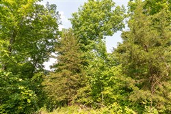 property photo for Cedar Creek Tract 61, 5.89 acres for sale in Perry County, Tennessee