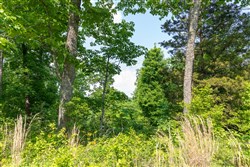 property photo for Cedar Creek Tract 61, 5.89 acres for sale in Perry County, Tennessee