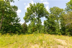 property photo for Cedar Creek Tract 62, 5.5 acres for sale in Perry County, Tennessee
