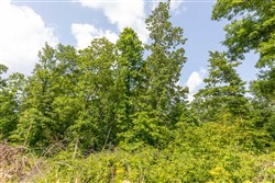 property photo for Cedar Creek Tract 62, 5.5 acres for sale in Perry County, Tennessee