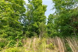 property photo for Cedar Creek Tract 62, 5.5 acres for sale in Perry County, Tennessee