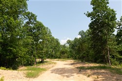 property photo for Cedar Creek Tract 63, 5.63 acres for sale in Perry County, Tennessee