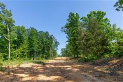 Cedar Creek Tract 64