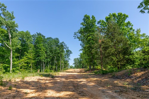 Cedar Creek Tract 64