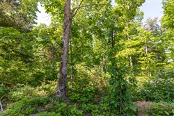 Cedar Creek Tract 64