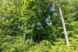property photo for Cedar Creek Tract 65, 5.19 acres for sale in Perry County, Tennessee