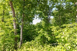 property photo for Cedar Creek Tract 65, 5.19 acres for sale in Perry County, Tennessee