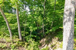 property photo for Cedar Creek Tract 65, 5.19 acres for sale in Perry County, Tennessee