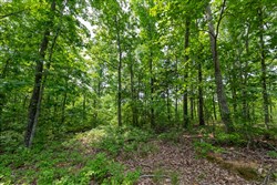 property photo for Cedar Creek Tract 7, 8.04 acres for sale in Perry County, Tennessee