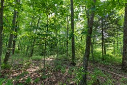 property photo for Cedar Creek Tract 7, 8.04 acres for sale in Perry County, Tennessee