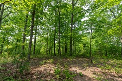 property photo for Cedar Creek Tract 7, 8.04 acres for sale in Perry County, Tennessee