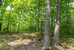 property photo for Cedar Creek Tract 7, 8.04 acres for sale in Perry County, Tennessee