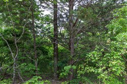 property photo for Cedar Creek Tract 9, 6.22 acres for sale in Perry County, Tennessee