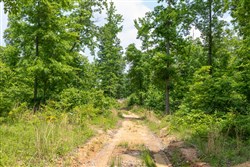 property photo for Cedar Creek Tract 9, 6.22 acres for sale in Perry County, Tennessee