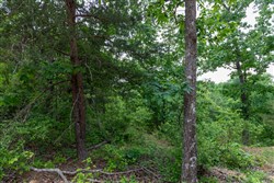 property photo for Cedar Creek Tract 9, 6.22 acres for sale in Perry County, Tennessee