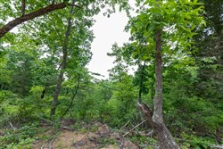 property photo for Cedar Creek Tract 9, 6.22 acres for sale in Perry County, Tennessee