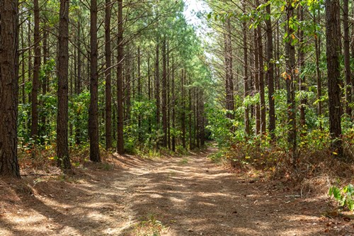 Harvest Ridge Tract 10