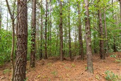 Harvest Ridge Tract 10