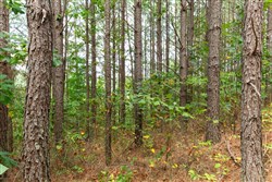 Harvest Ridge Tract 10