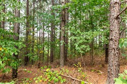 Harvest Ridge Tract 10