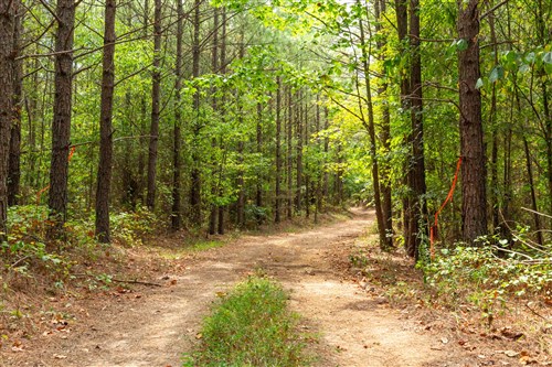 Harvest Ridge Tract 3