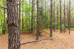 Harvest Ridge Tract 3