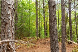 Harvest Ridge Tract 3