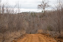 Southwind Ranch Tract 13