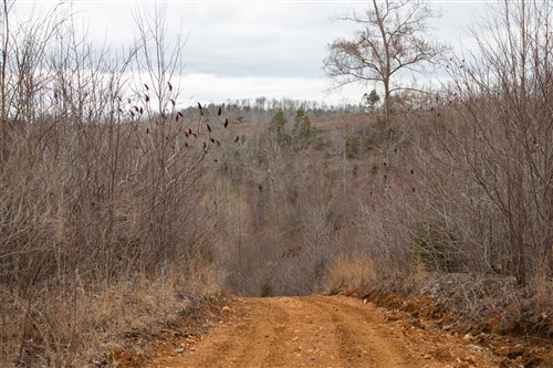 Southwind Ranch Tract 13