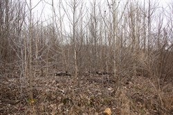 Southwind Ranch Tract 13