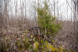 Southwind Ranch Tract 13