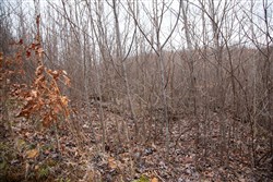 Southwind Ranch Tract 13