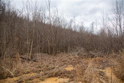 Southwind Ranch Tract 13