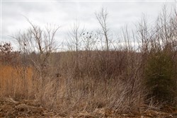 Southwind Ranch Tract 13