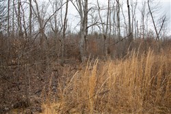 property photo for Southwind Ranch Tract 14, 5.48 acres for sale in Perry County, Tennessee