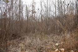 property photo for Southwind Ranch Tract 14, 5.48 acres for sale in Perry County, Tennessee