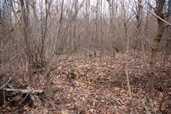 property photo for Southwind Ranch Tract 14, 5.48 acres for sale in Perry County, Tennessee