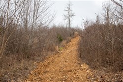 property photo for Southwind Ranch Tract 14, 5.48 acres for sale in Perry County, Tennessee