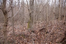 property photo for Southwind Ranch Tract 14, 5.48 acres for sale in Perry County, Tennessee