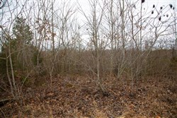 Southwind Ranch Tract 16