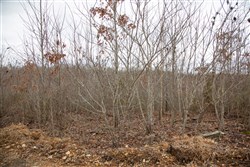 Southwind Ranch Tract 16