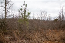 Southwind Ranch Tract 16