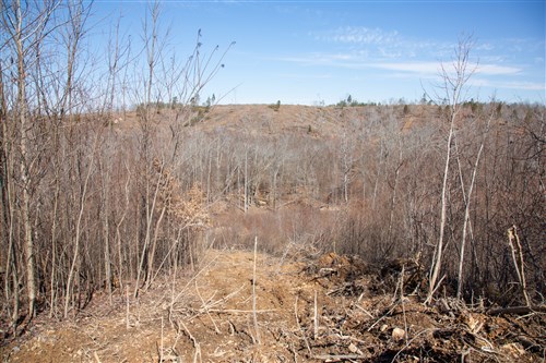 Southwind Ranch Tract 6
