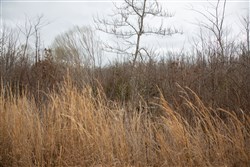 Southwind Ranch Tract 8